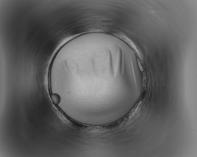 X0000087310811200705112115