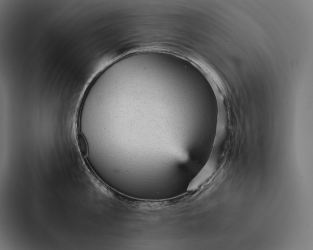 X0000087310813200705112115