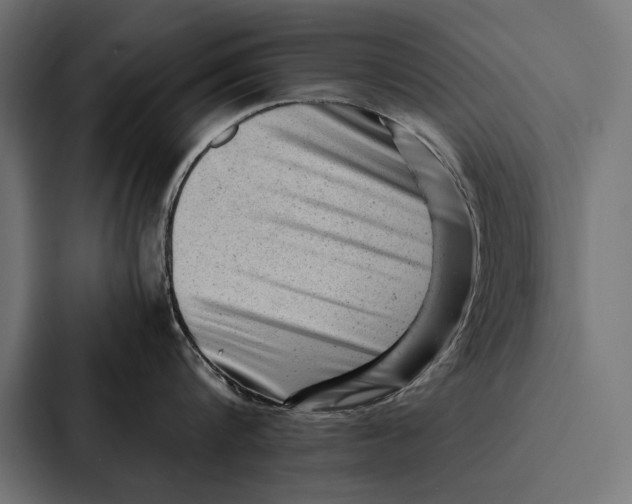 X0000087310816200705112115