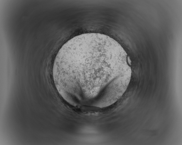 X0000087310817200705112115