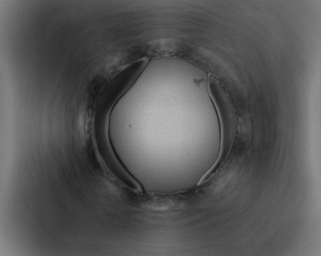 X0000087310818200705112115