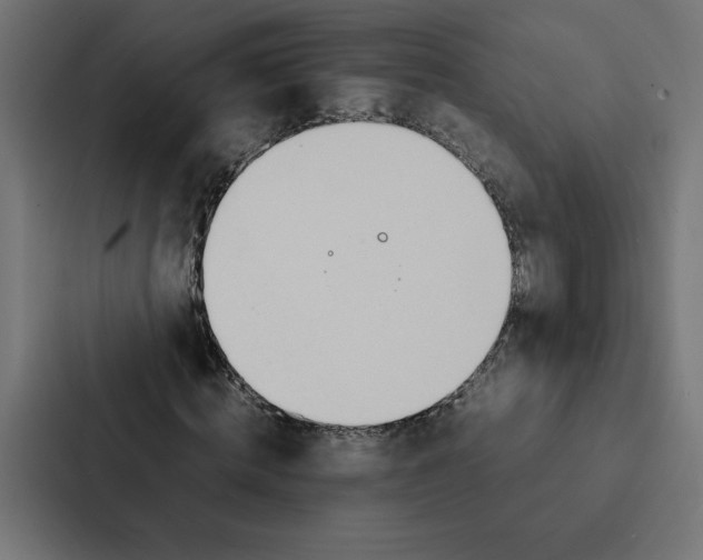 X0000087310820200705112115