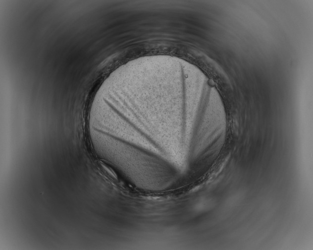 X0000087310821200705112115