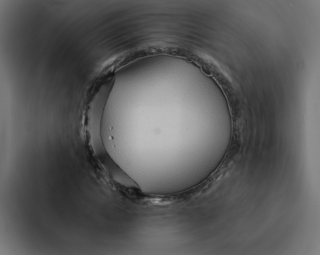 X0000087310822200705112115