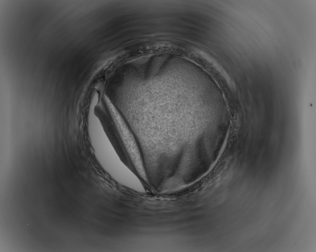 X0000087310823200705112115