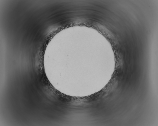 X0000087310824200705112115