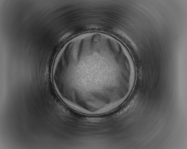 X0000087310825200705112115