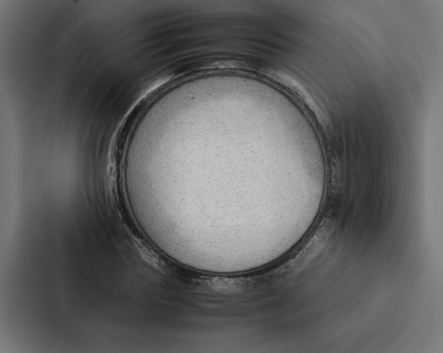 X0000087310827200705112115