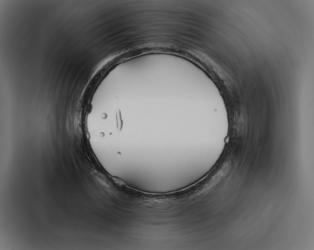 X0000087310830200705112115