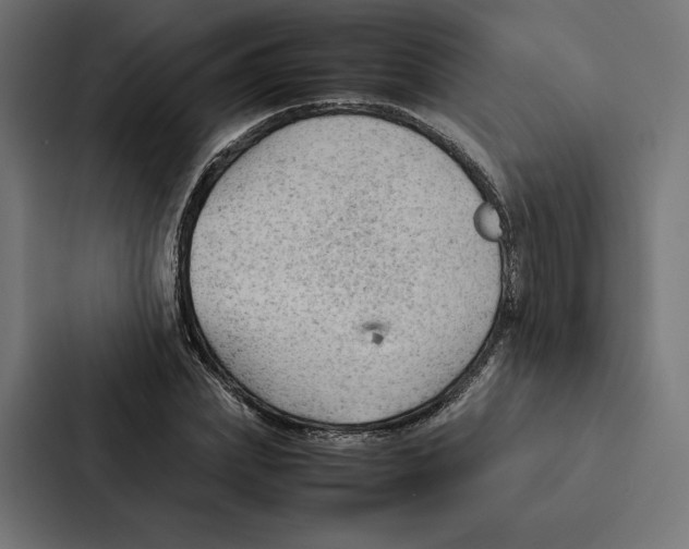 X0000087310831200705112115