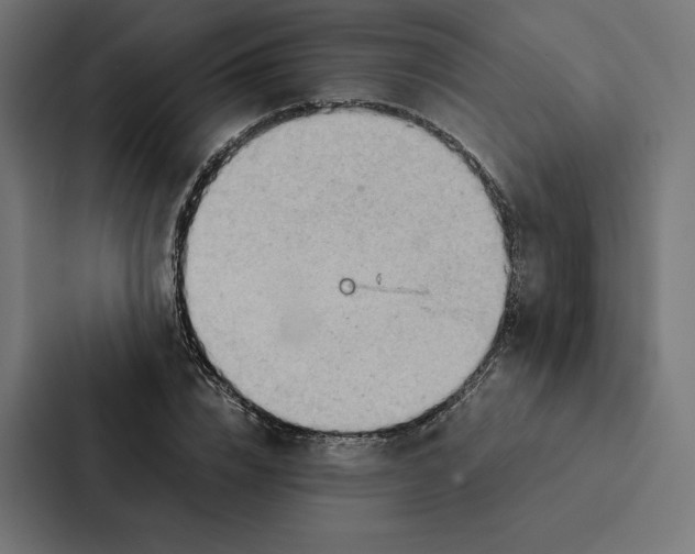 X0000087310832200705112115