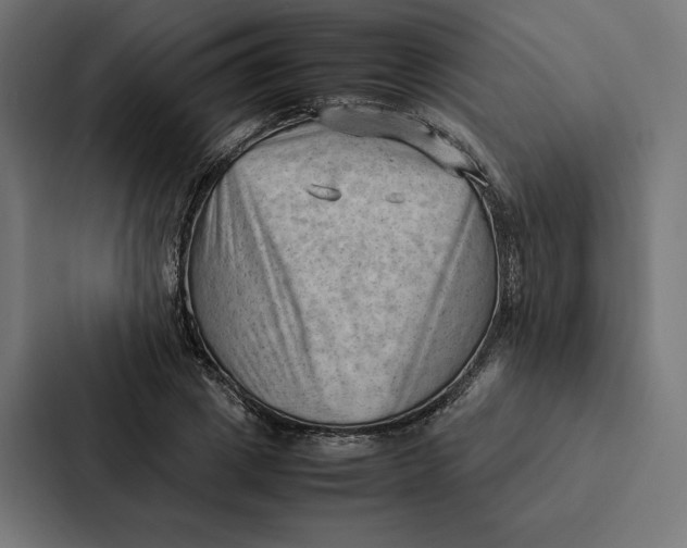 X0000087310833200705112115