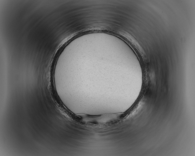 X0000087310834200705112115