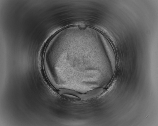 X0000087310835200705112115