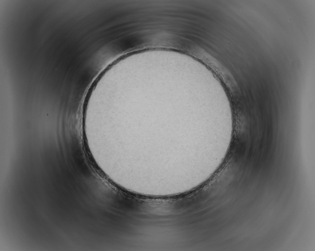 X0000087310836200705112115