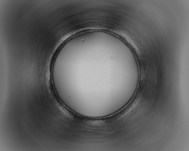 X0000087310837200705112115