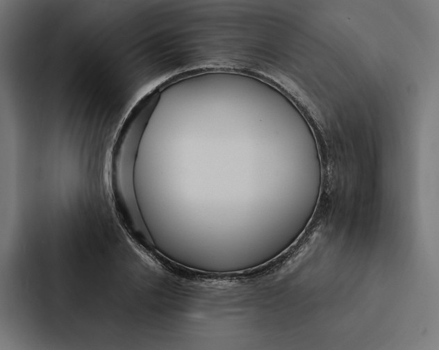 X0000087310838200705112115