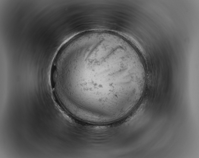 X0000087310839200705112115