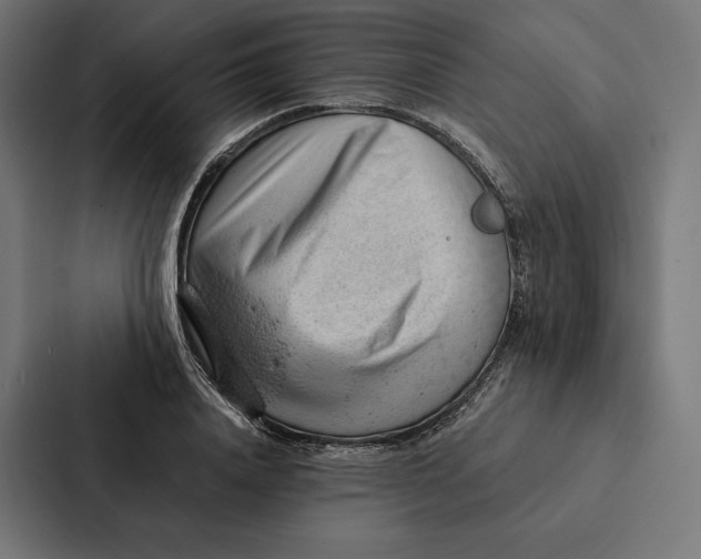 X0000087310840200705112115