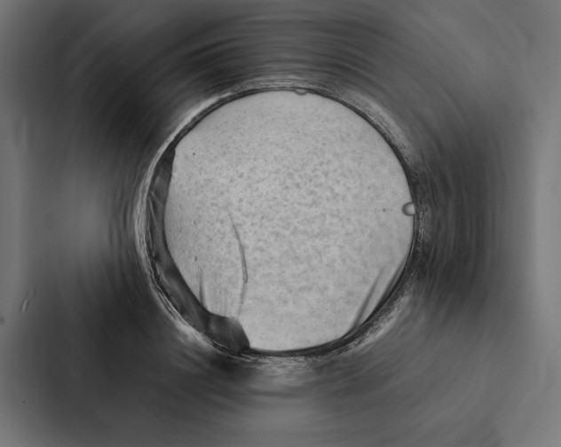 X0000087310844200705112115