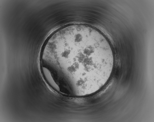 X0000087310845200705112115