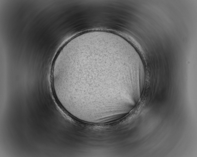 X0000087310847200705112115