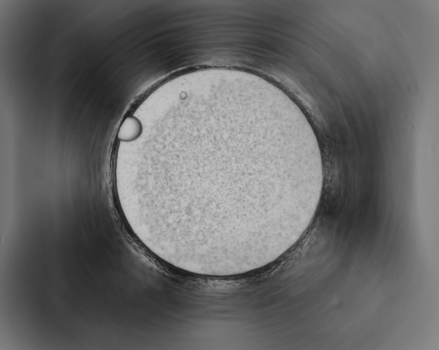 X0000087310848200705112115