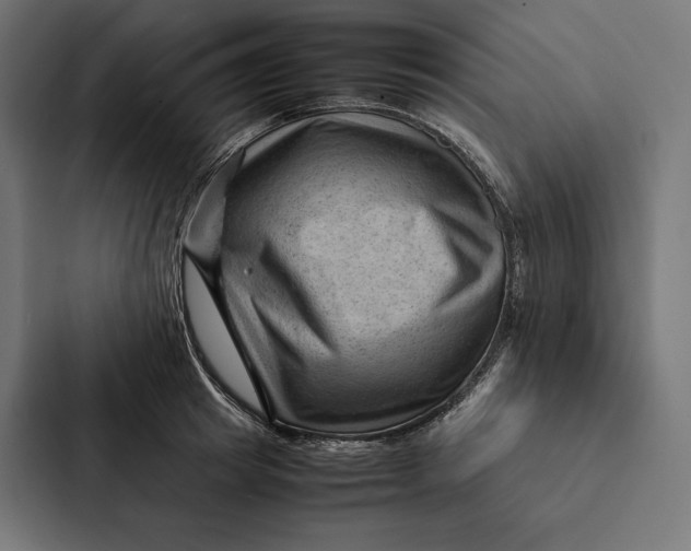 X0000087310849200705112115