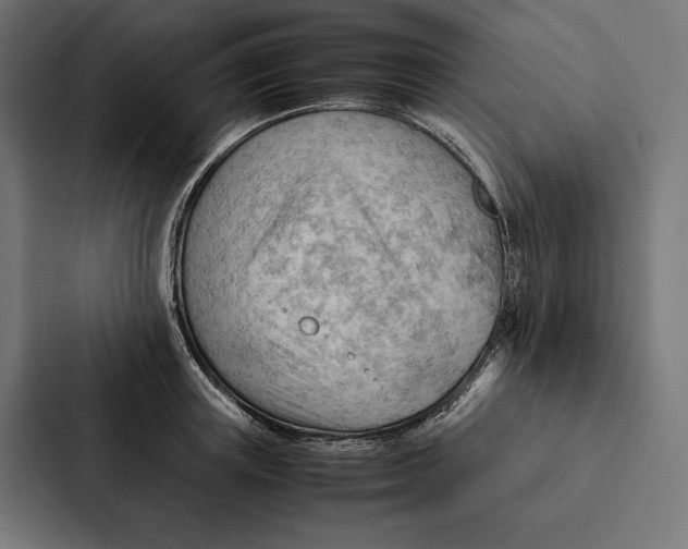 X0000087310851200705112115