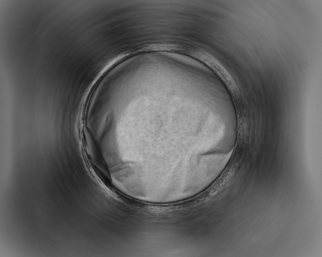 X0000087310852200705112115