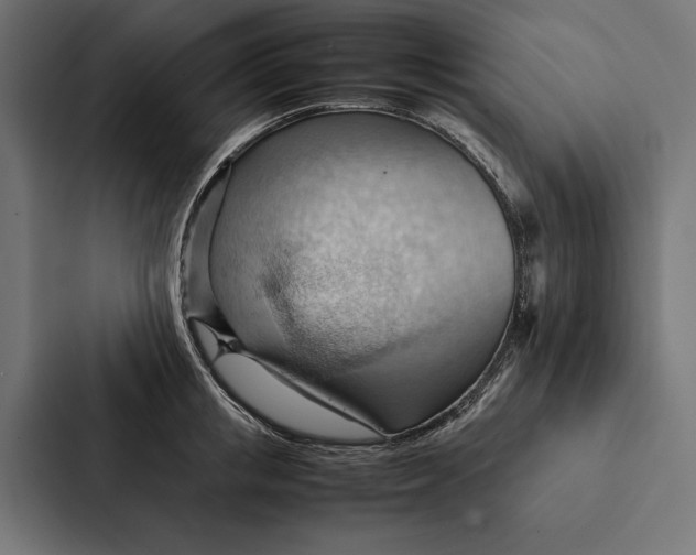 X0000087310853200705112115