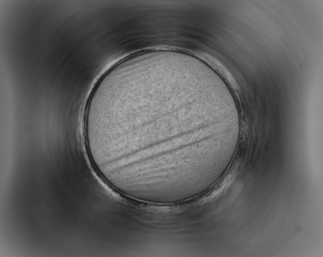 X0000087310855200705112115