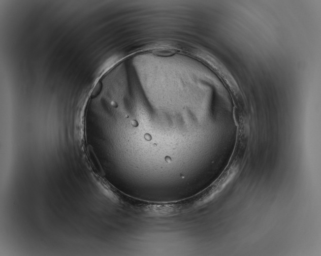 X0000087310858200705112115