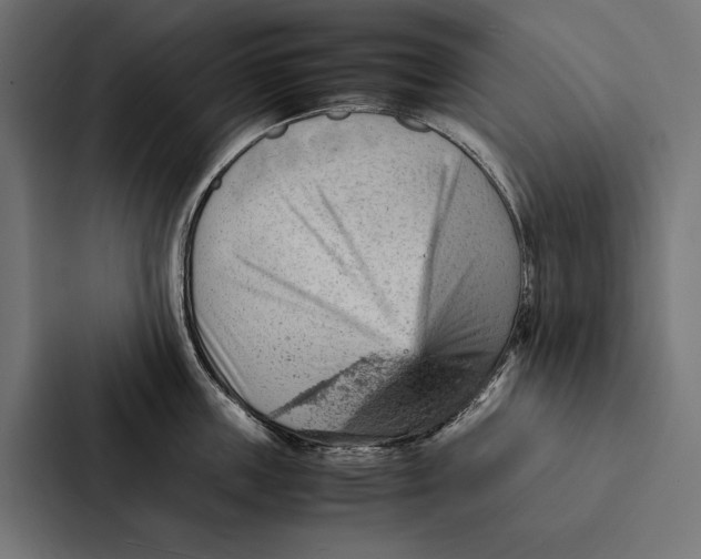 X0000087310859200705112115