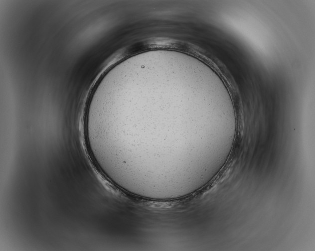 X0000087310861200705112115