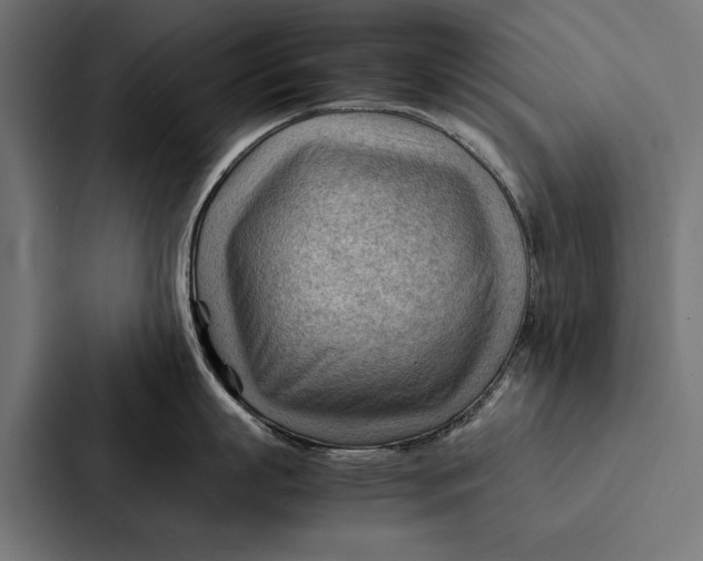 X0000087310863200705112115