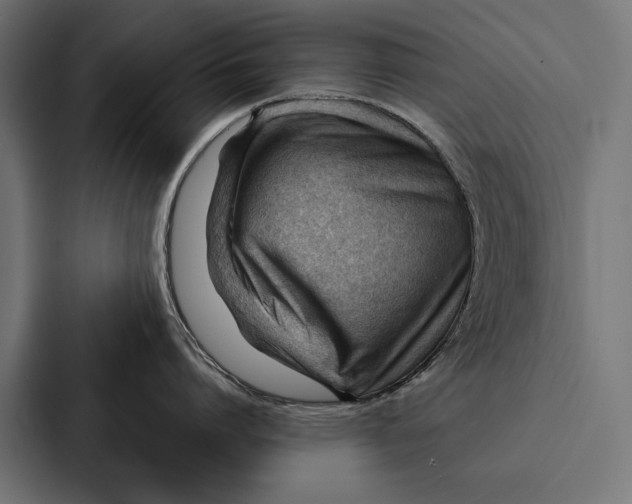 X0000087310864200705112115