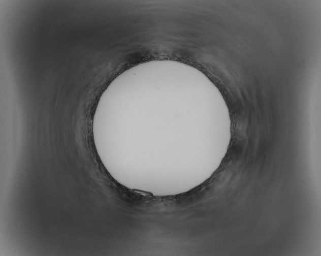 X0000087310865200705112115