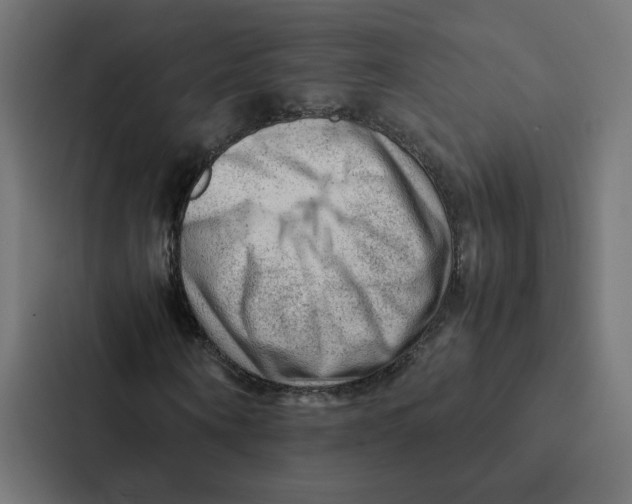 X0000087310866200705112115