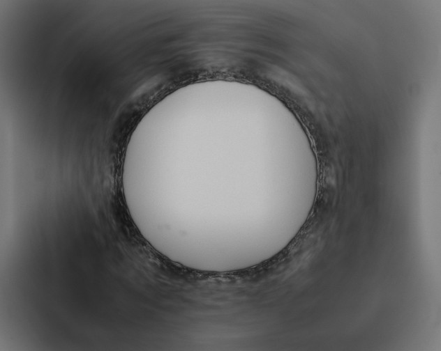 X0000087310869200705112115