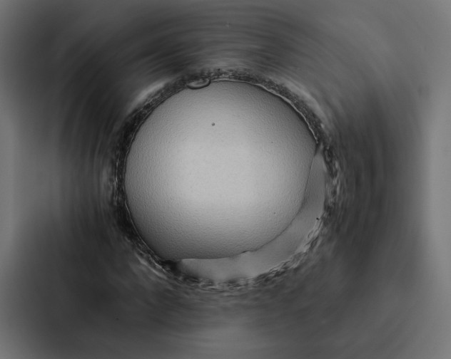 X0000087310872200705112115