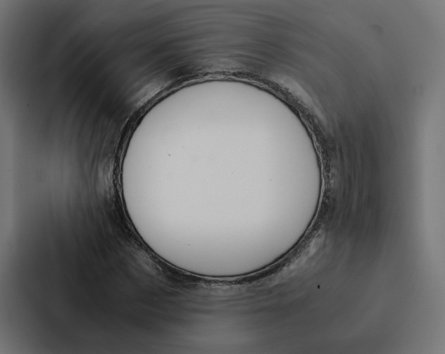 X0000087310873200705112115