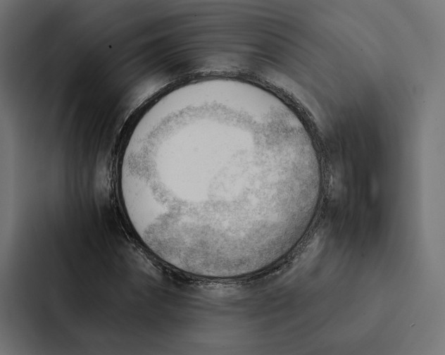 X0000087310874200705112115