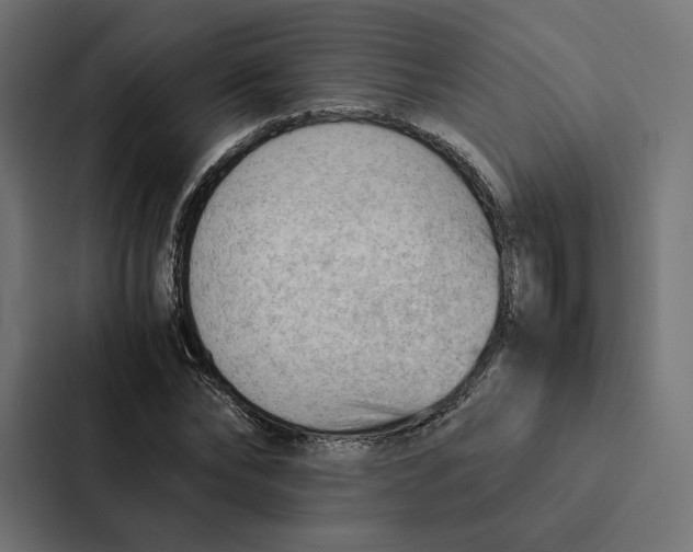 X0000087310878200705112115