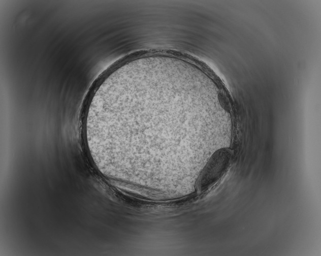 X0000087310879200705112115