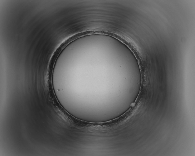 X0000087310880200705112115