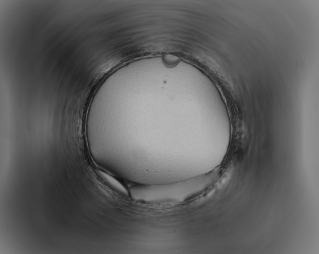 X0000087310881200705112115