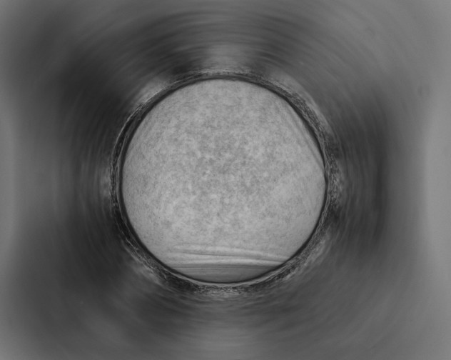 X0000087310882200705112115