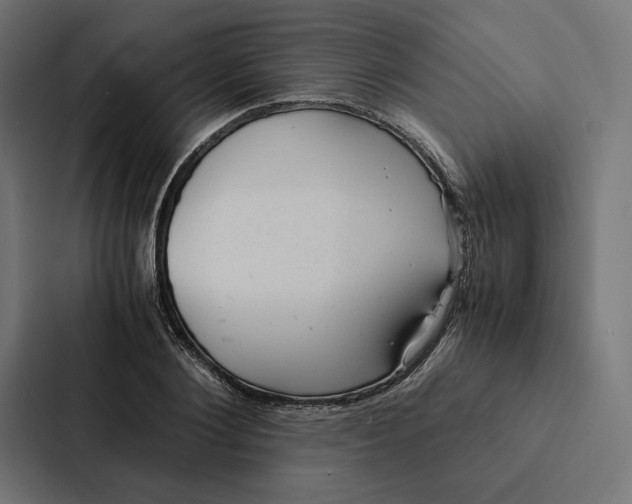 X0000087310884200705112115