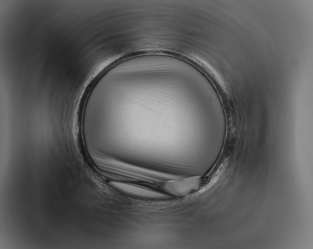 X0000087310885200705112115